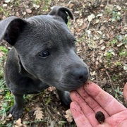 Avatar de l’utilisateur
