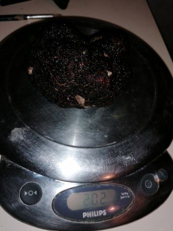 IMG_20211221_165344   ggg.jpg