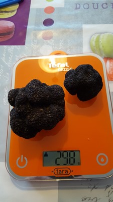 213 gr + 85 gr