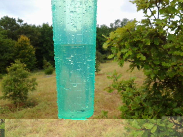 2013-08-25 16.02.41.jpg