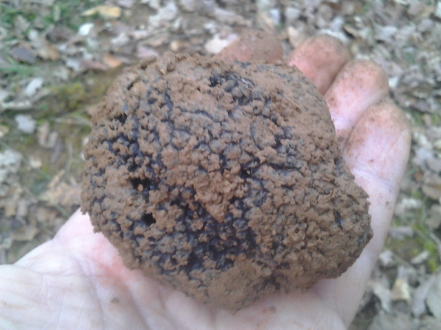 2014-01-18 16.48.12.jpg