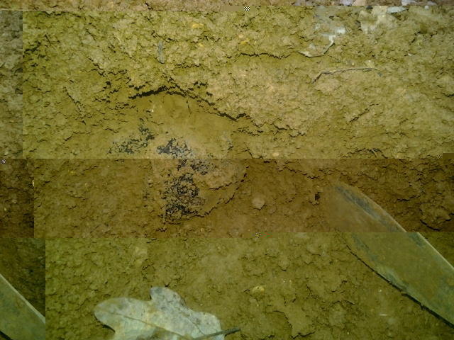 2014-01-13 16.28.20.jpg