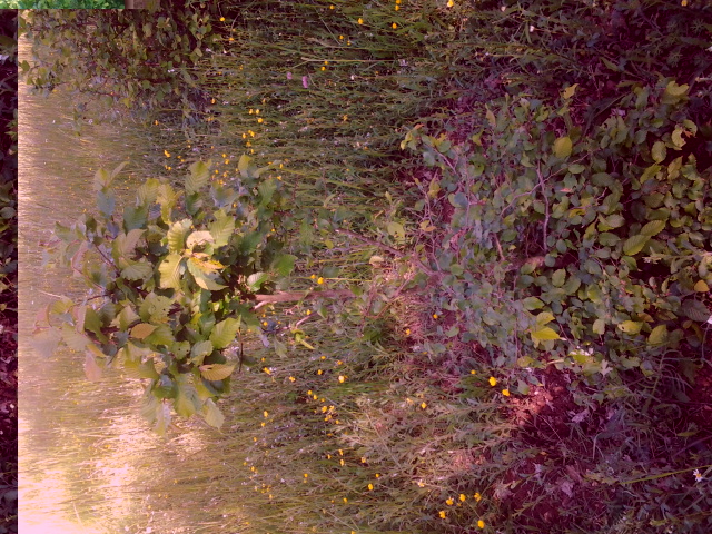 2014-04-30 17.35.42.jpg