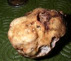 /images/galerietruffes/blanches/borchiiext.TN__.jpg