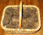 /images/galerietruffes/melano/paniermelano.TN__.jpg