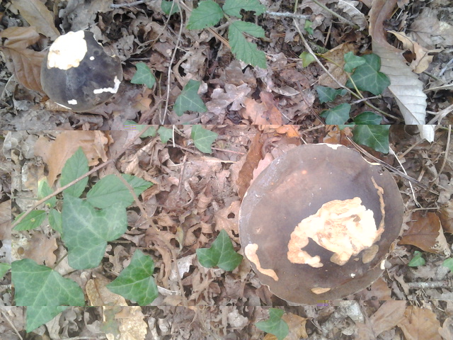 2014-10-21 15.58.21.jpg