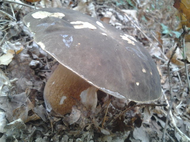 2014-10-21 15.59.45.jpg