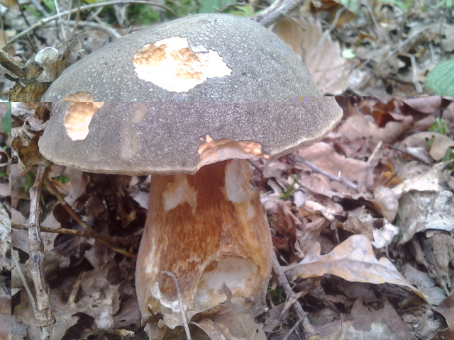 2014-10-21 16.11.58.jpg