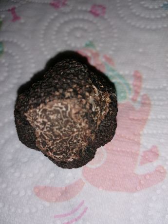 IMG_20211211_212722   ggg.jpg