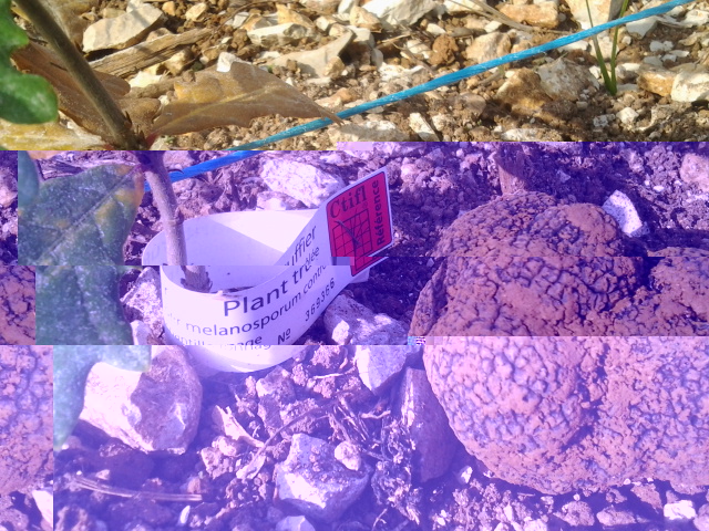 2014-11-24 11.35.09.jpg