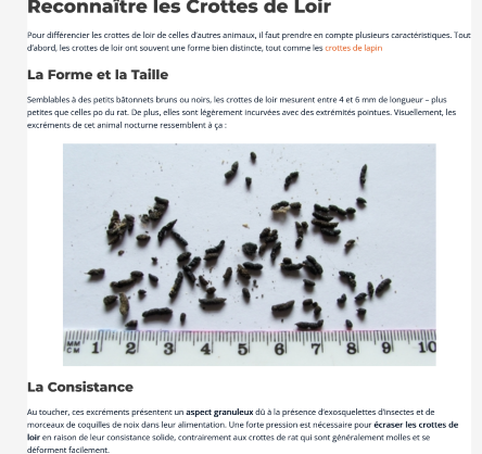 Screenshot 2024-06-23 at 07-08-17 Les Crottes de Loir Comment les identifier (PHOTO) - Les Animaux Du Futur.png