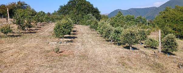 20240828_172936.jpg