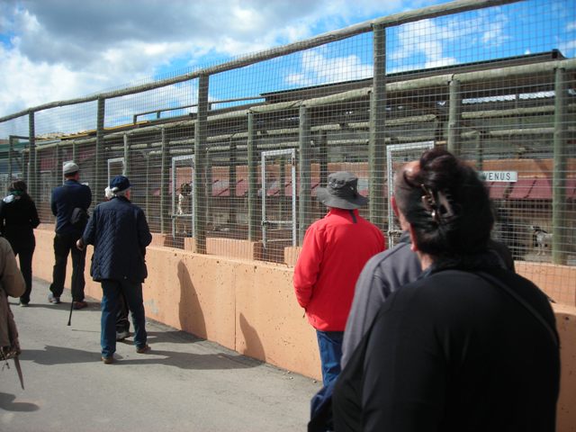 DSCN1126.JPG