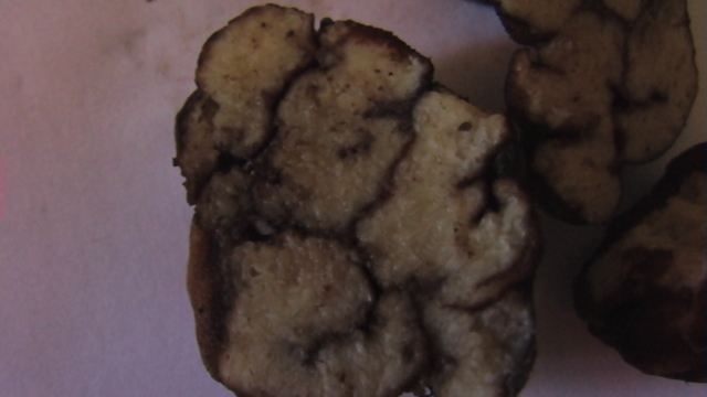 IMGA0255.JPG