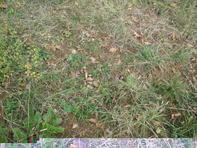 IMG_20161020_0362.jpg
