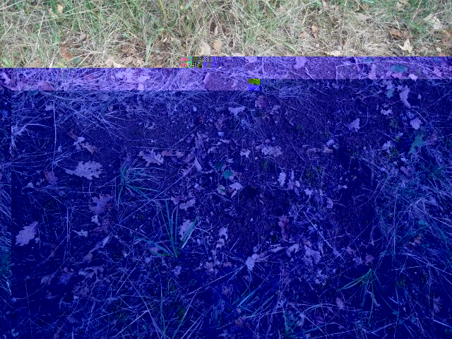IMG_20161020_16529.jpg