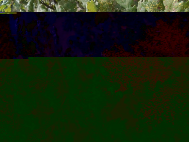 2013-08-02 16.44.09.jpg