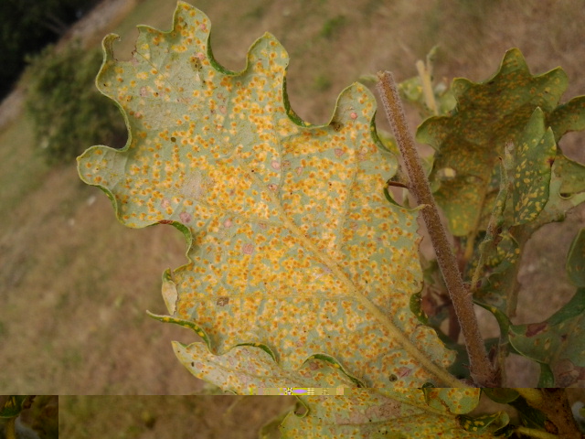 2013-08-02 16.45.54.jpg