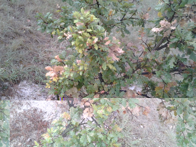 2013-08-25 16.10.51.jpg