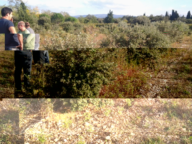 2013-10-21 16.51.46.jpg