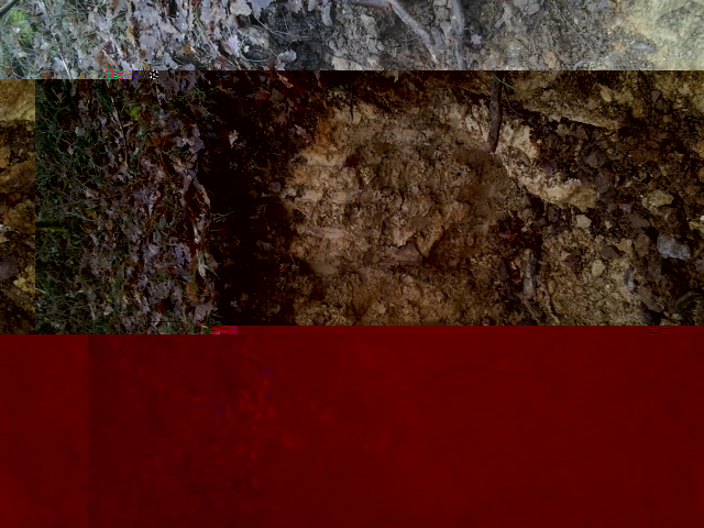 2014-02-01 14.23.20.jpg