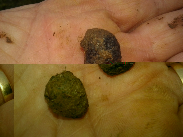 2014-02-01 14.40.26.jpg