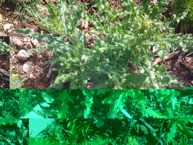 2014-05-05 15.51.56.jpg